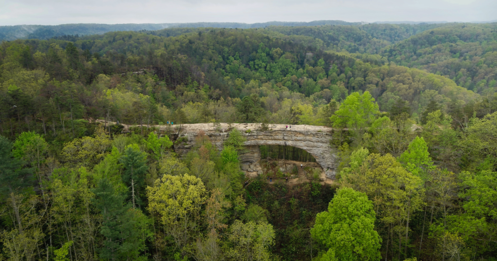 One Perfect Day in Kentucky
