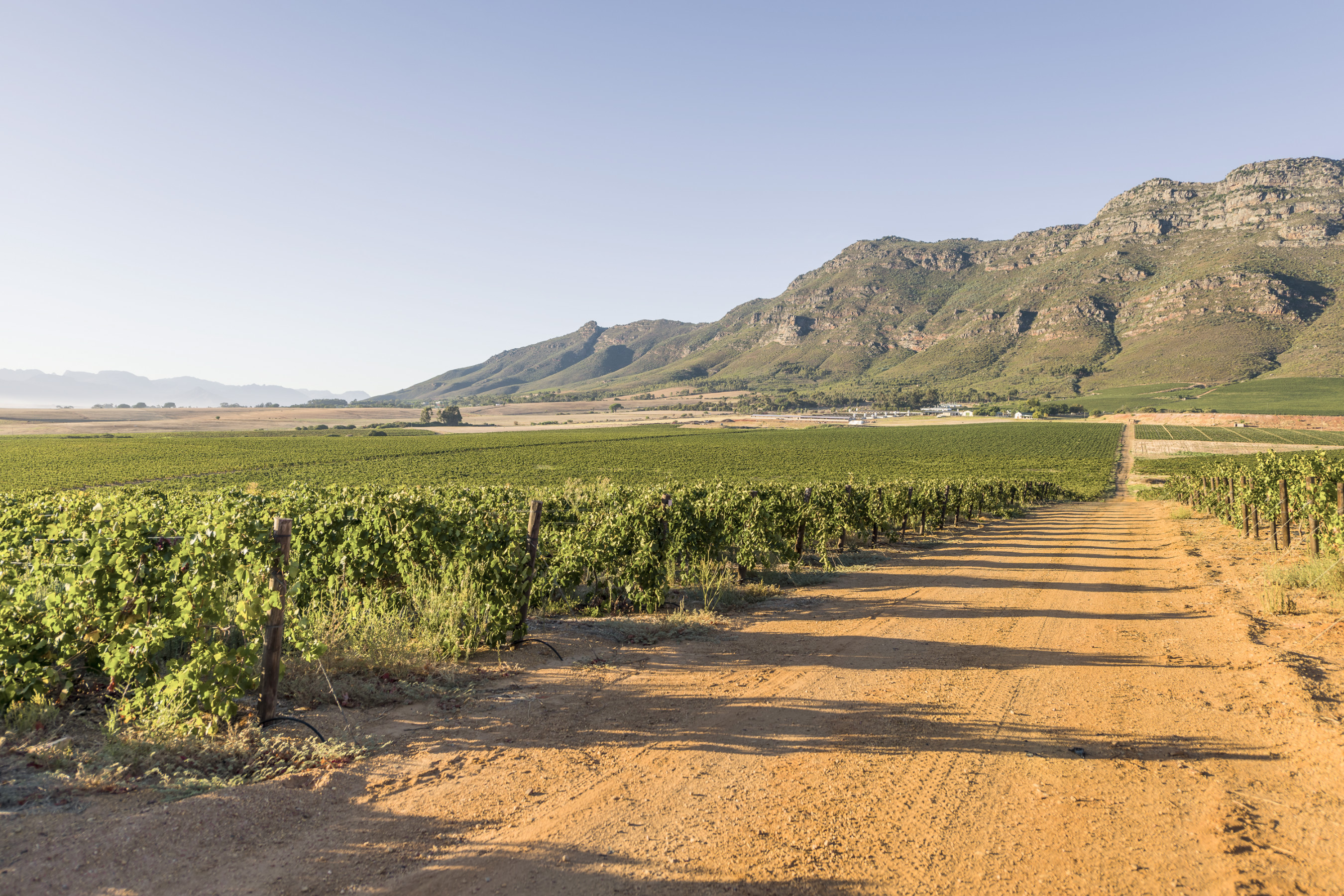The Garden Route